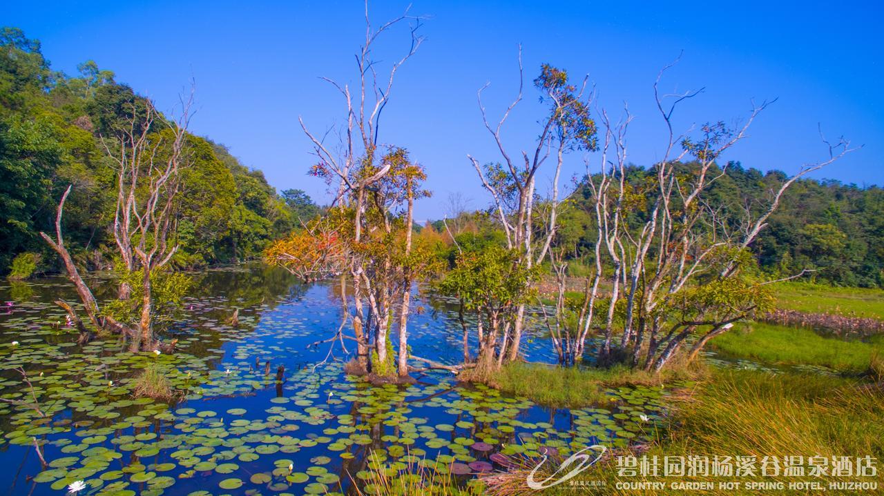 Country Garden Hot Spring Hotel Huizhou Huizhou  Extérieur photo